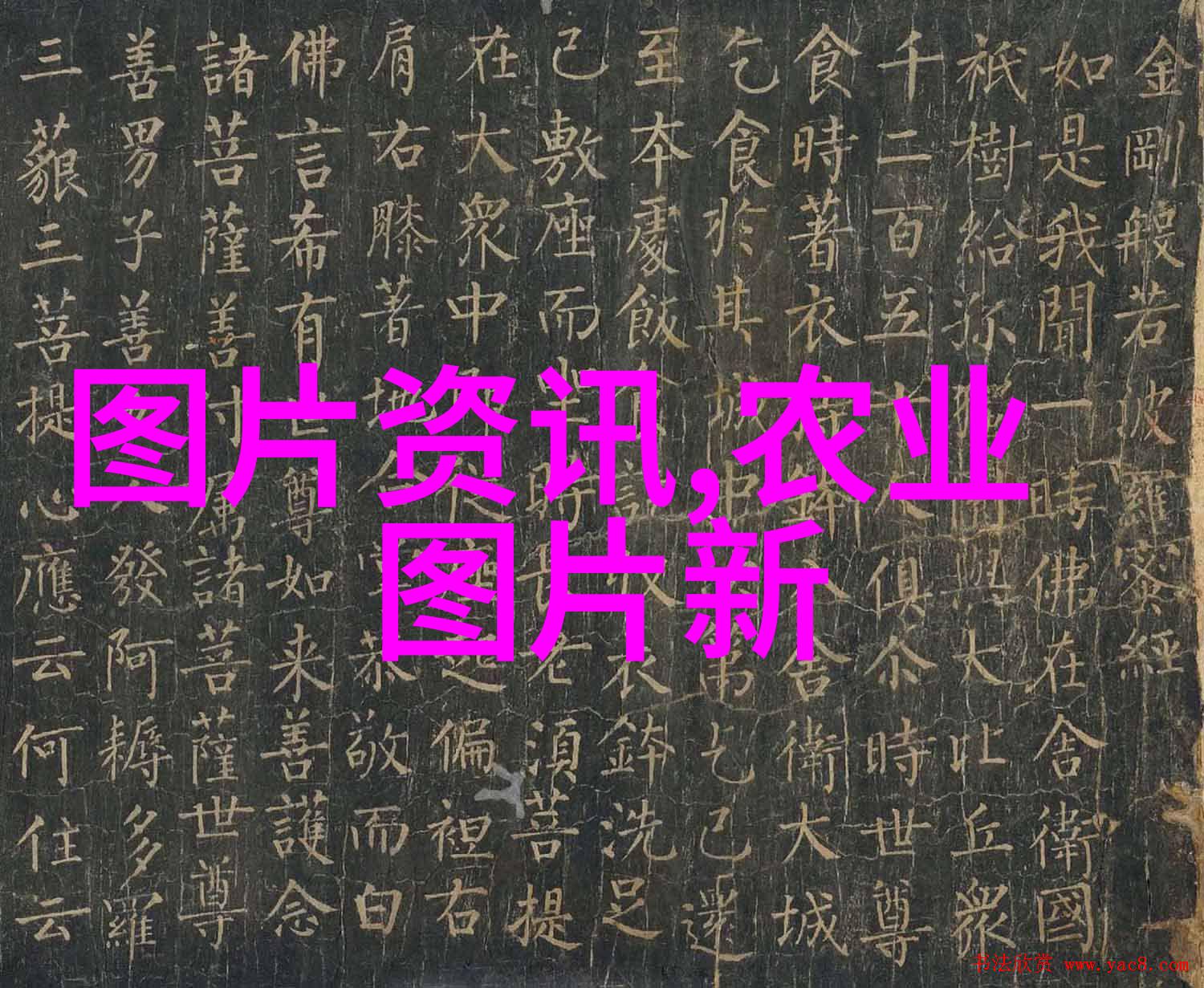 中国药材种植新趋势追逐热门品种的农业奇迹