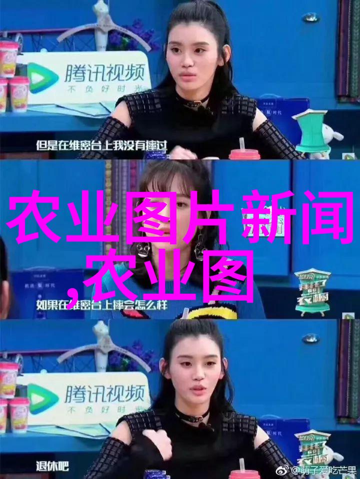 白毫金针福建武夷岩茶的独特风情