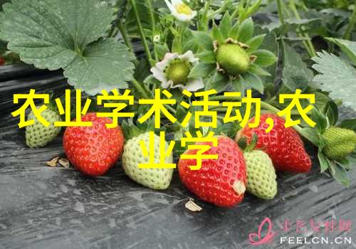 金华苗木网今日求购热度高寻找优质植物种植资源