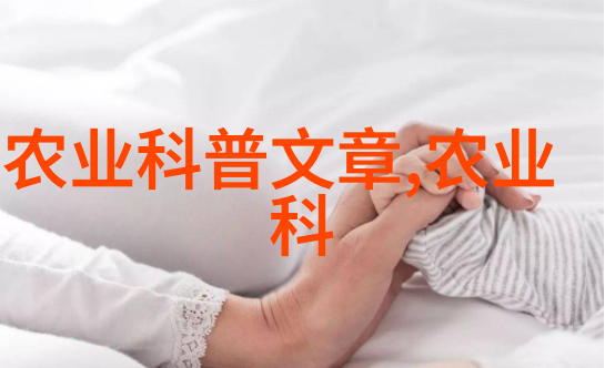 野生金线莲水中之星的璀璨
