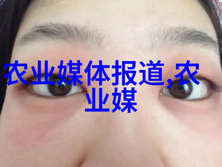 允发丽-产品