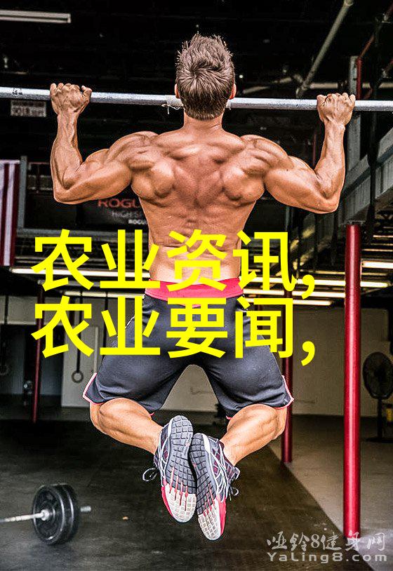 我和枣树的故事那棵岁月成长的枣树