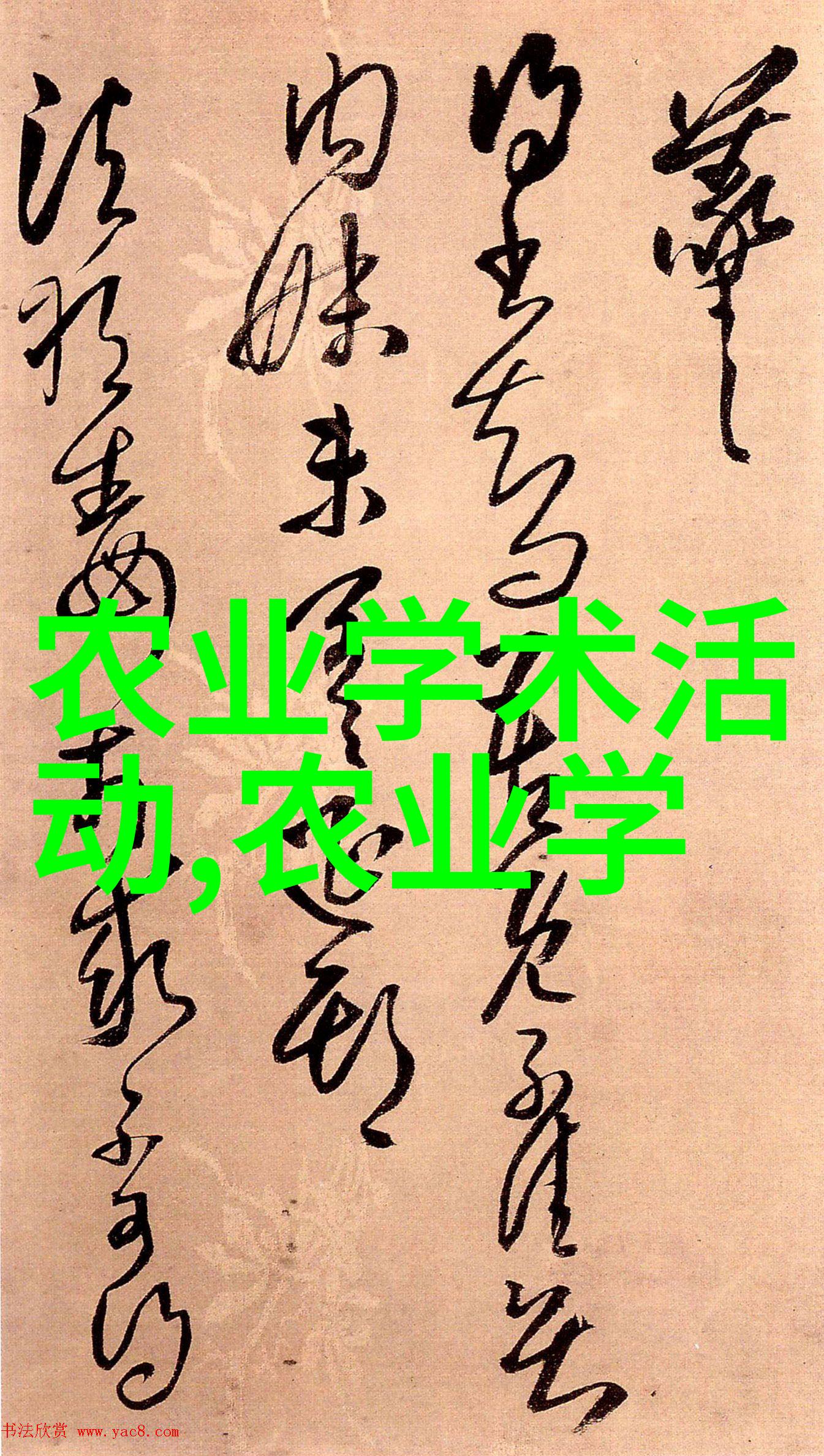 星空天美MV视频大全免费观看