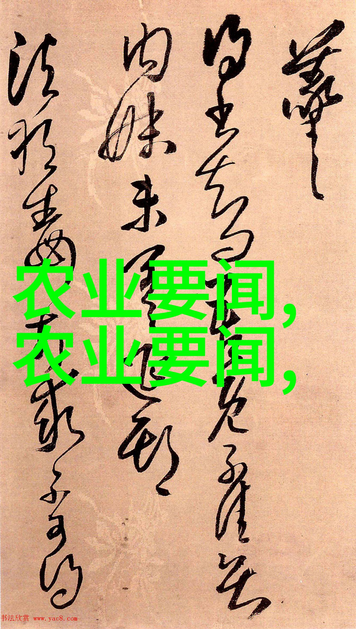 一棵树一份梦想深度剖析10年枫树的价格背后故事