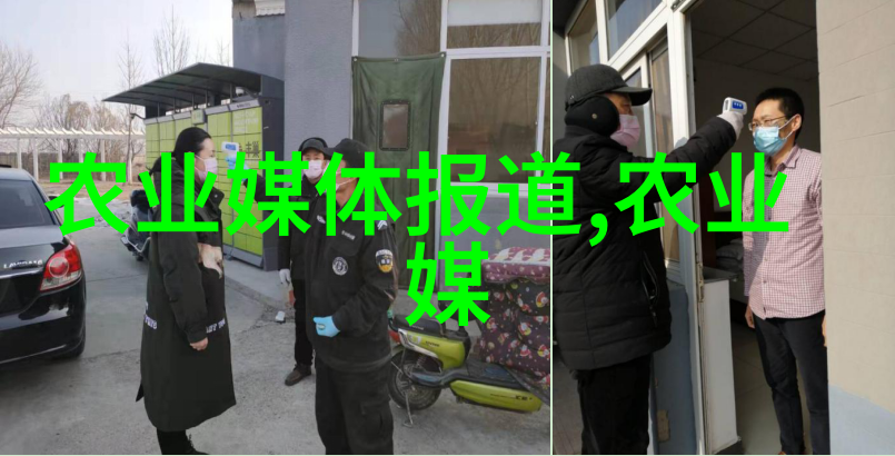 金线莲种植视频家庭园艺指南种植技巧分享