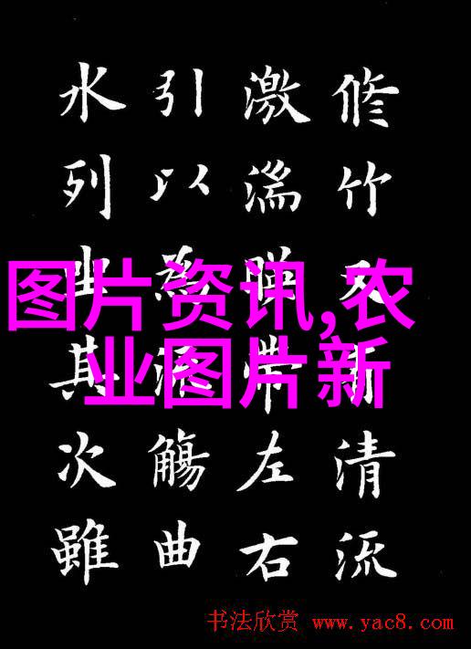 阳台上的果实选择适合户外种植的水果