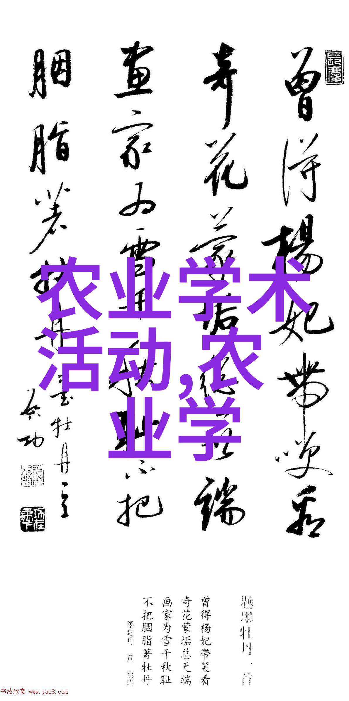 阳台花园的精选十大宜居植物