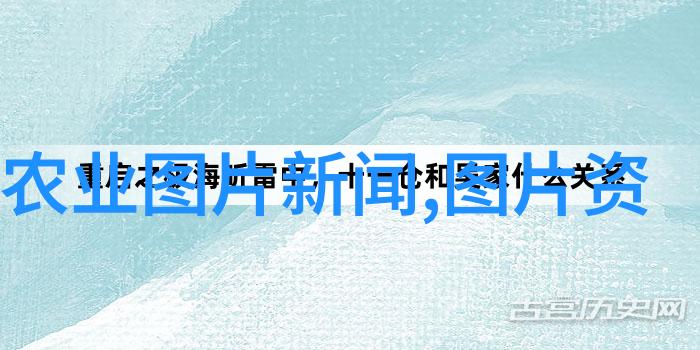 花语迷雾绚烂色彩间的生长秘密