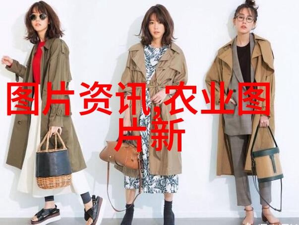 高价上门收购国槐我要给你一个超级好消息