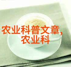 7月8月份种植优质蔬菜技巧夏季蔬菜种植指南