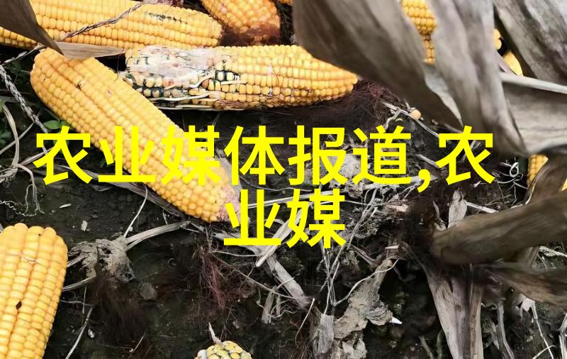 自然画廊 让我们一起欣赏这些珍贵的植物照片集