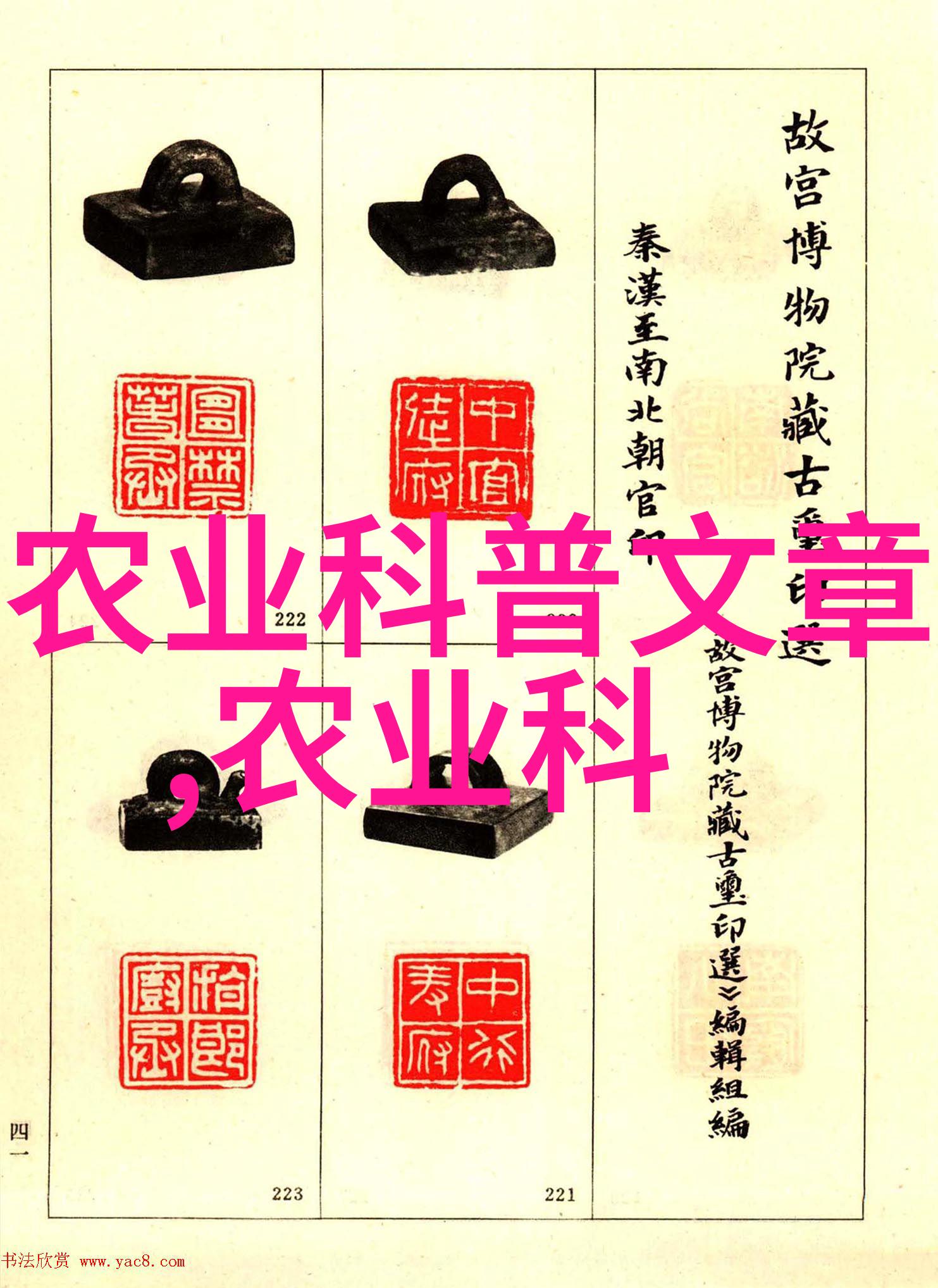 翩跹黄粉探秘光影中的生命艺术