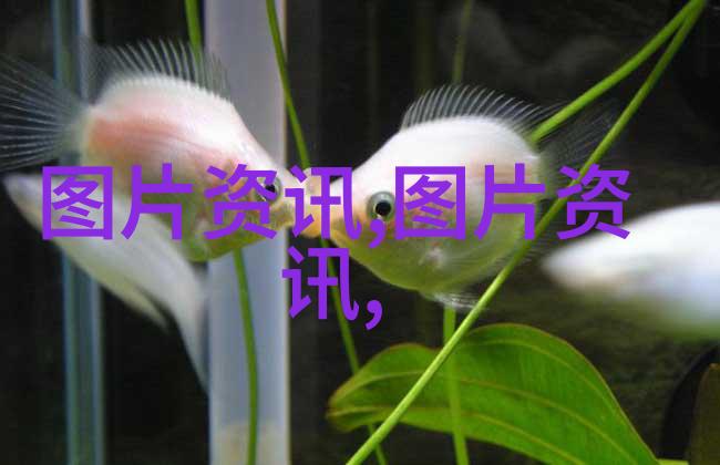 金钱蜕变新时代养殖业的奇迹