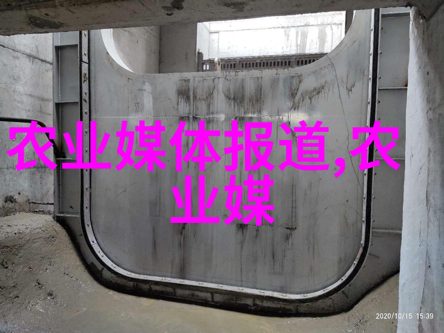 苗木种植基地里的笑傲江湖