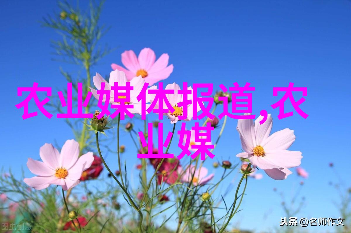 马铃薯栽培整地技术犹如网上批发蔬菜平台的精准种植