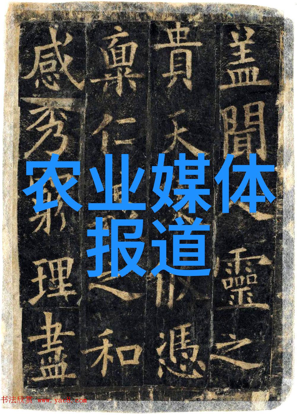 蔬菜大棚种植与管理精髓全解