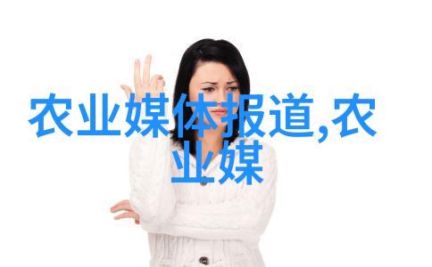 码垛机自动化物流的智慧之选