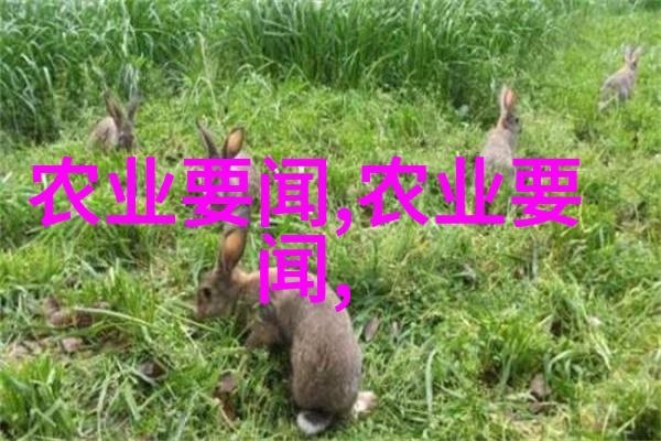 冬日里的坚韧花朵探索室外耐寒的美丽植物