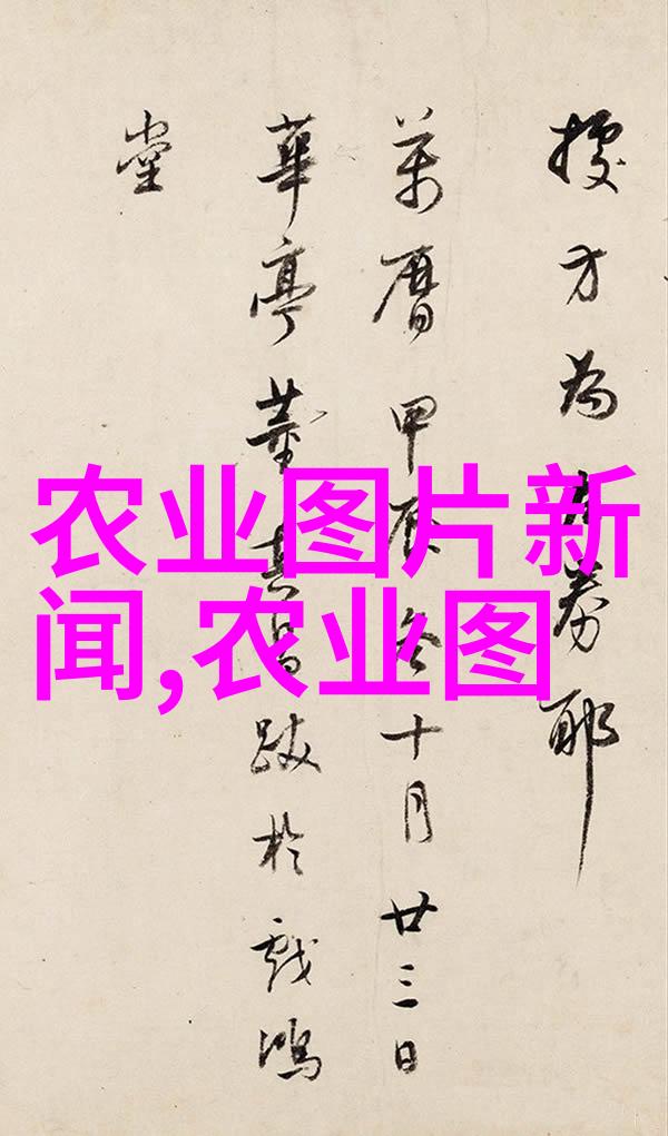 材料之韵工艺之舞科技的诗篇与制造的绘画