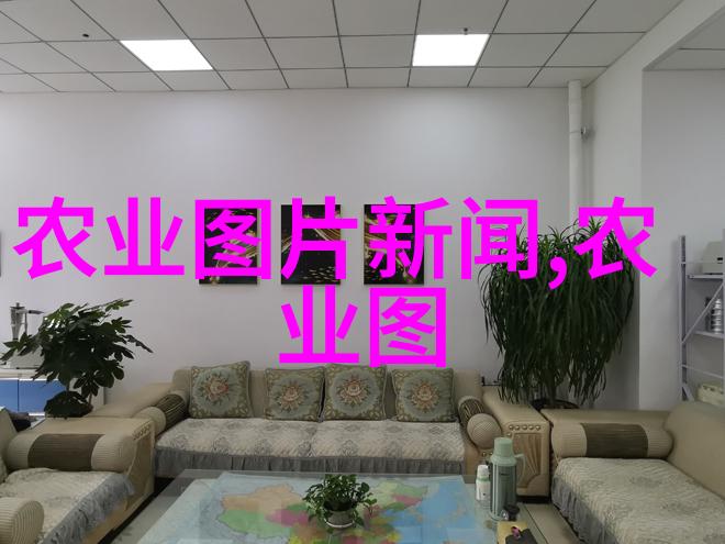 在阳台上种植梅子不需要授粉的水果梦想