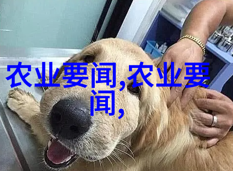 中药材网传承古方共创健康未来