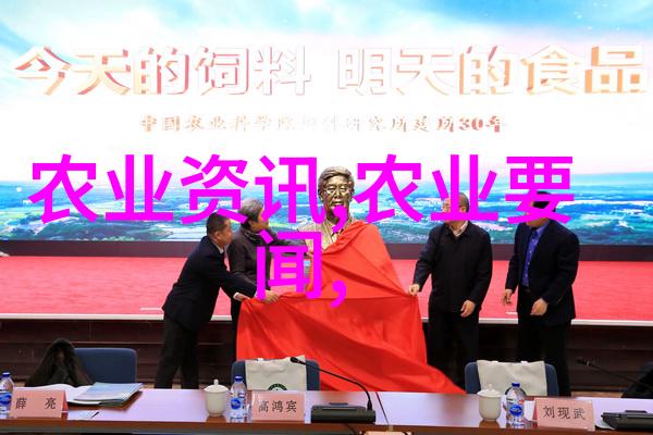 花卉种植全攻略从土壤调理到日照管理