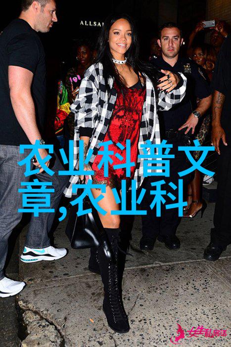 探索欧洲RAPPER网站仙踪林跨文化音乐的奇幻旅程