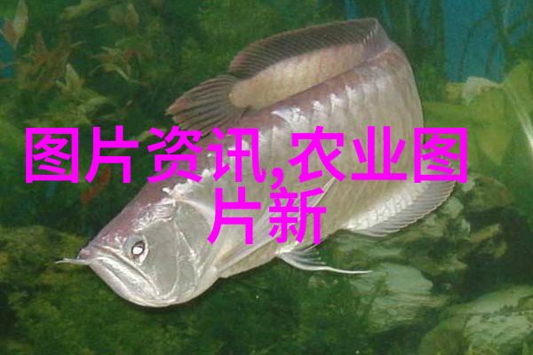 现代农村最佳养殖业种选多元化养殖模式的选择与实践