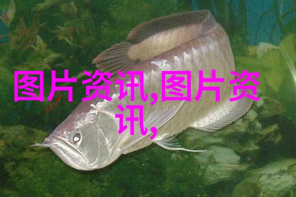 百年大计植树造林1000万项目的长远意义