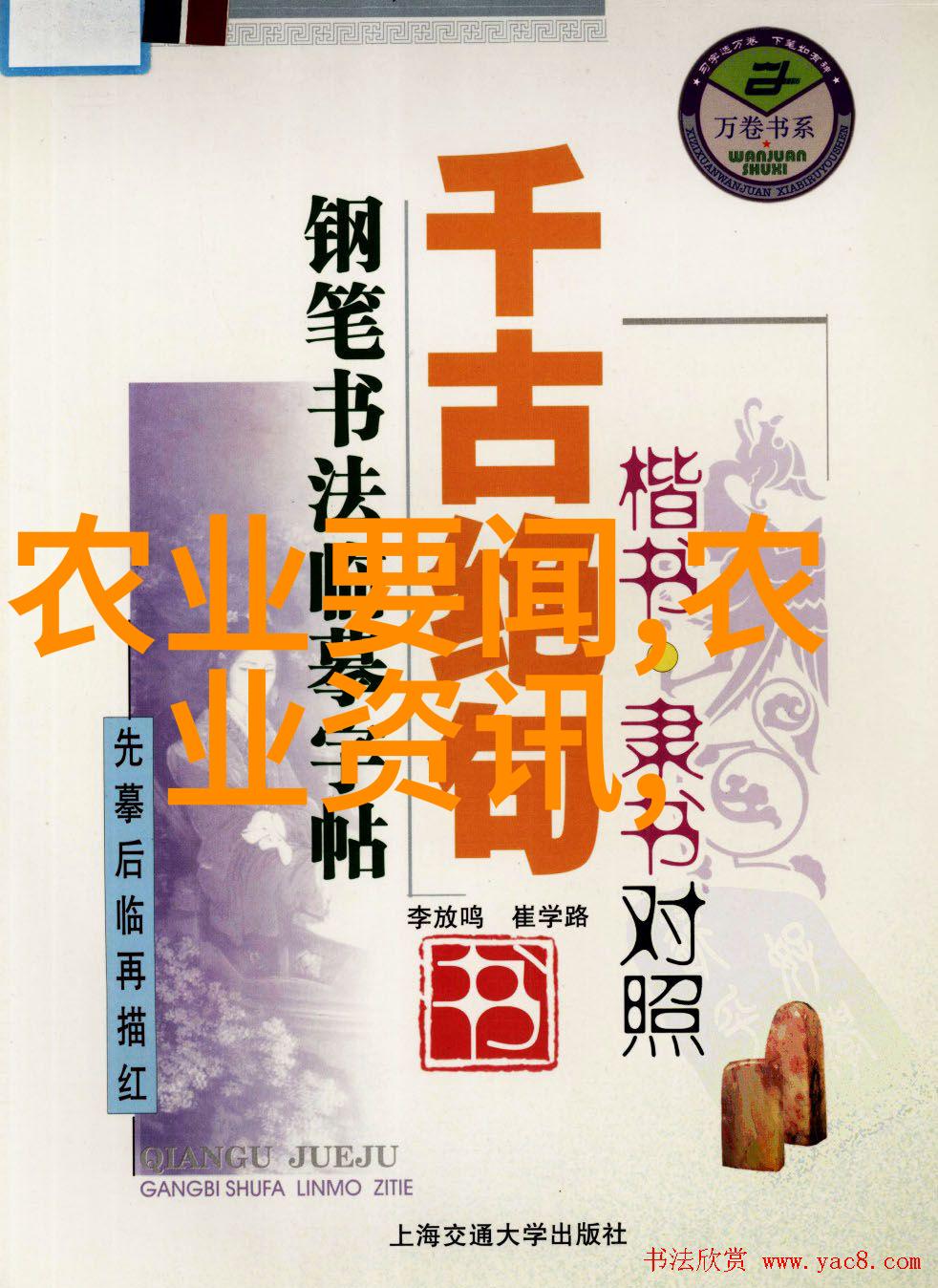 药材市场的金字塔十大不愁销路良品