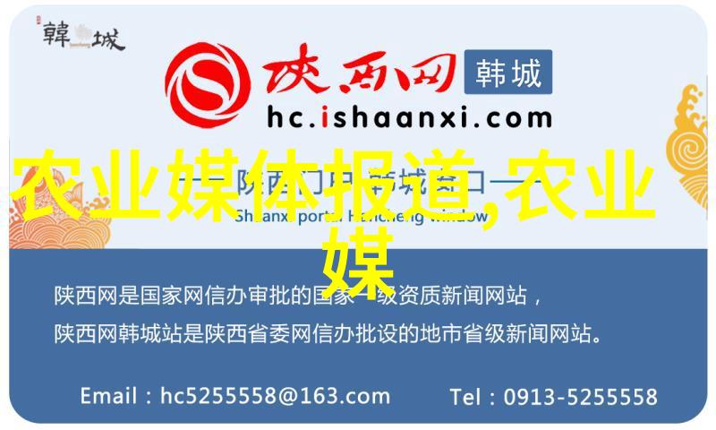 金针菇香菇让孩子聪明成长智慧如同它们的茸实日渐丰满