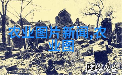 追逐药海丰收解析哪种药材利润高好种植的秘诀