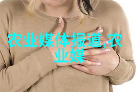 小户型庭院中应如何布局不同的盆栽和灌木