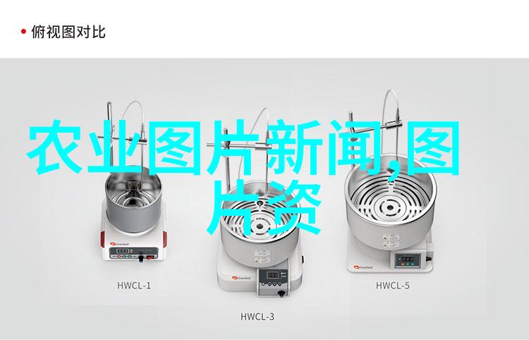哪些木本植物适合小户型庭院种植