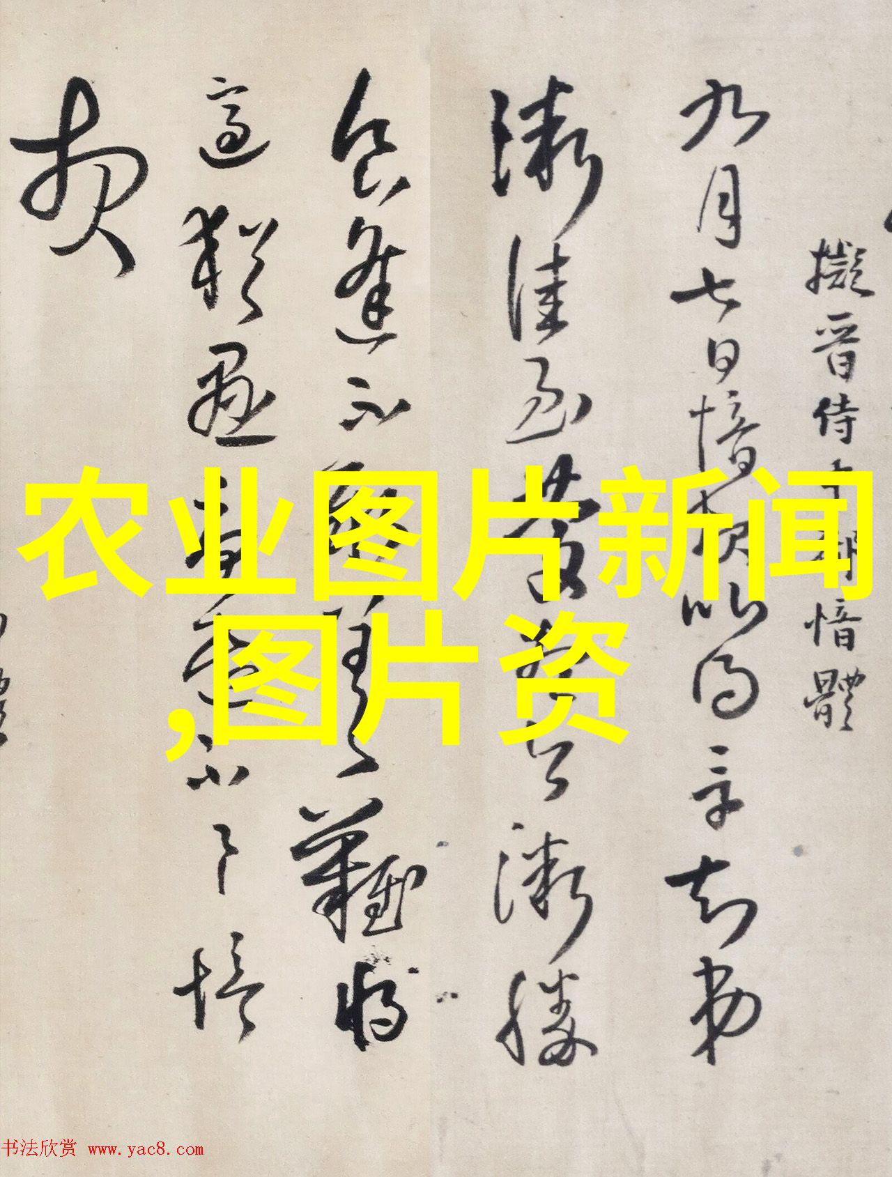 园艺知识-金线莲种子价格了解这朵美丽花卉的经济价值