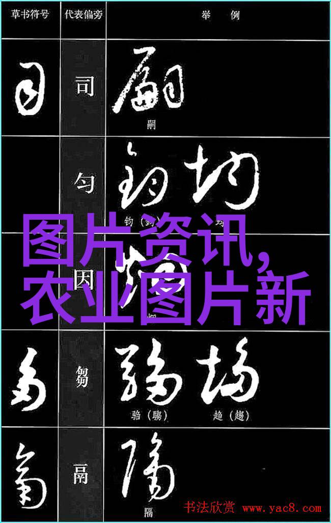 升降机之旅揭秘楼宇间的无声搬运者