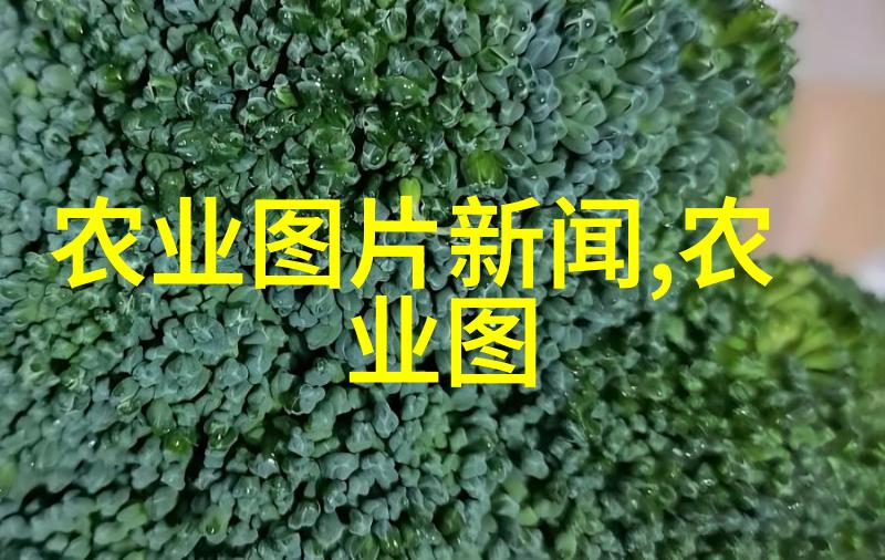 穿越时空的最佳野王揭秘古代部落最强者的传奇