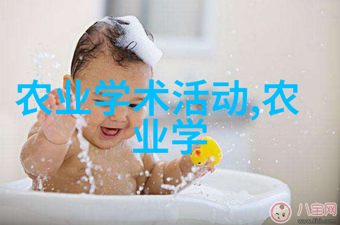 无土水培蔬菜种植我是如何在家里用水培出美味的蔬菜的