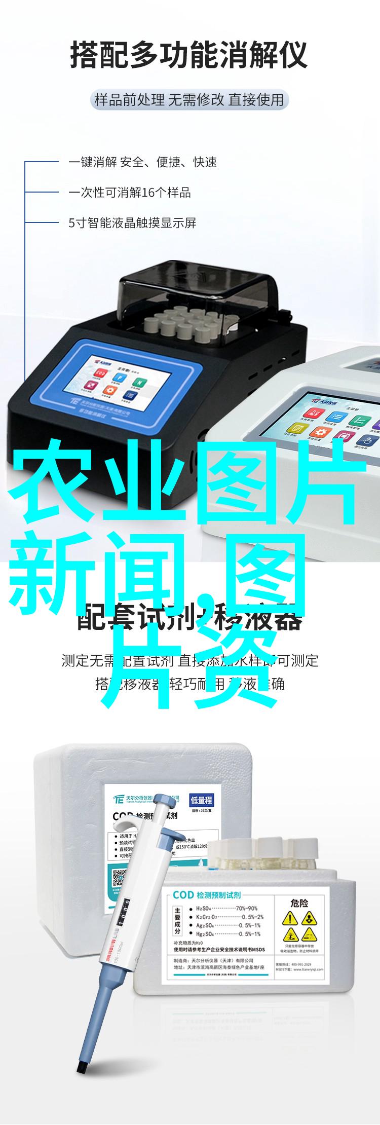 绿色生态大棚里的蔬菜之王