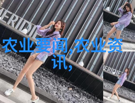 液压之力碎石如烟破碎锤的诗篇