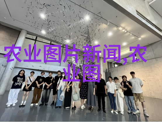 种植金线莲多少钱一斤-金线莲的栽培与价格花海中的珍品