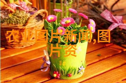 蝎子养殖技术高效的多变种管理与健康护理