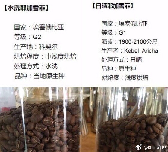 牧场富翁探秘农村养牛的赚钱之道