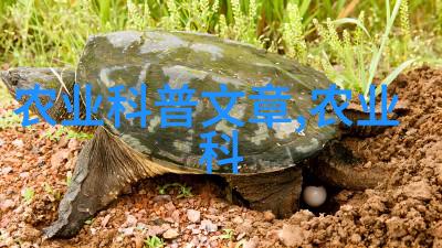 陕西高lands药材种植新趋势追逐利润的农业革命