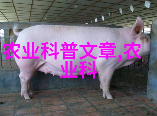 茼蒿的复兴从野草到餐桌上的转变