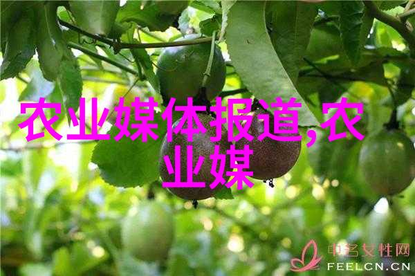 牧场的智慧牛羊养殖技巧与健康管理