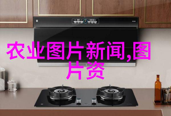 西安苗木市场的春天