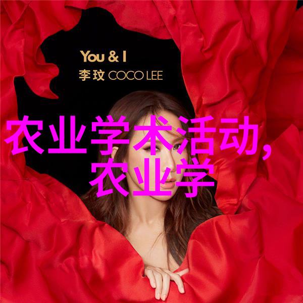 数字媒体艺术设计专升本考核体系探究从基础技能到创新创造力