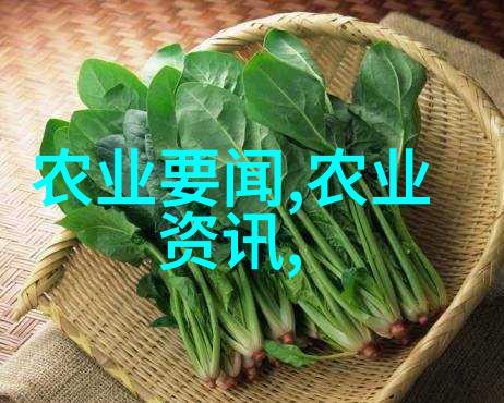 种植金线莲多少钱一斤我在网上搜了好久这家花店的金线莲真的不贵只要几十块就能买到一斤呢