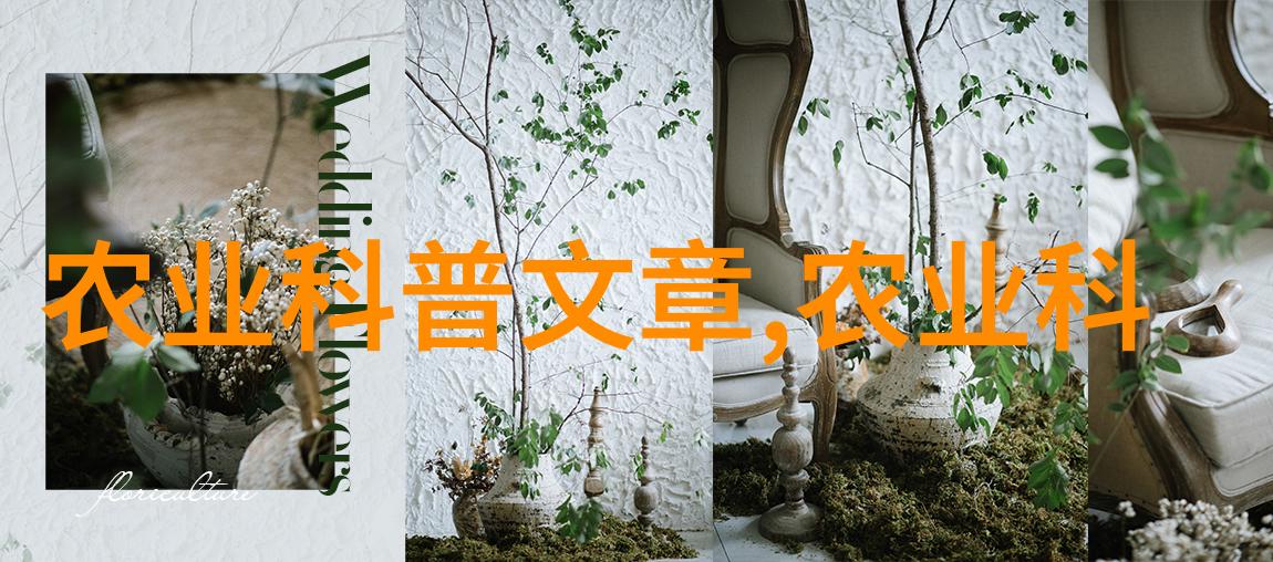 探索西洋菜的奇妙世界从香草到蔬菜品味欧洲烹饪的精髓